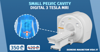 Magnetic resonance imaging of the small pelvic cavity
